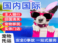 二连浩特机场货运国际宠物托运 【国